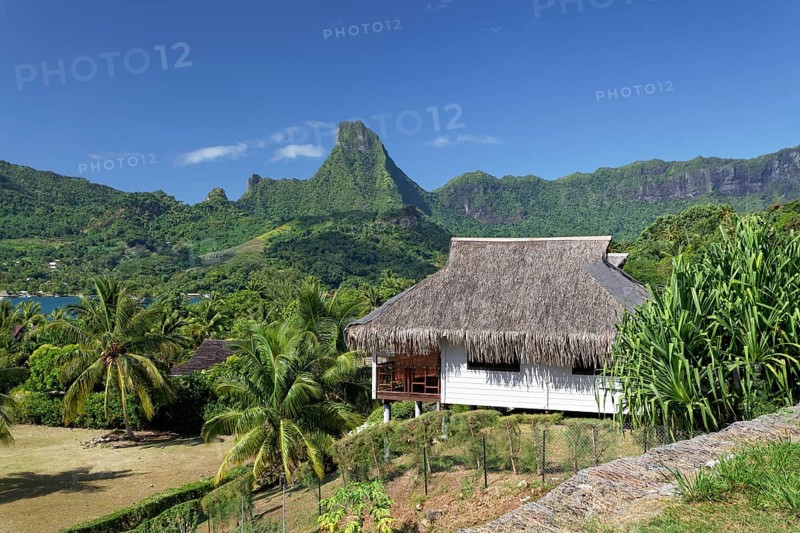 Residential house with traditional thatched roof