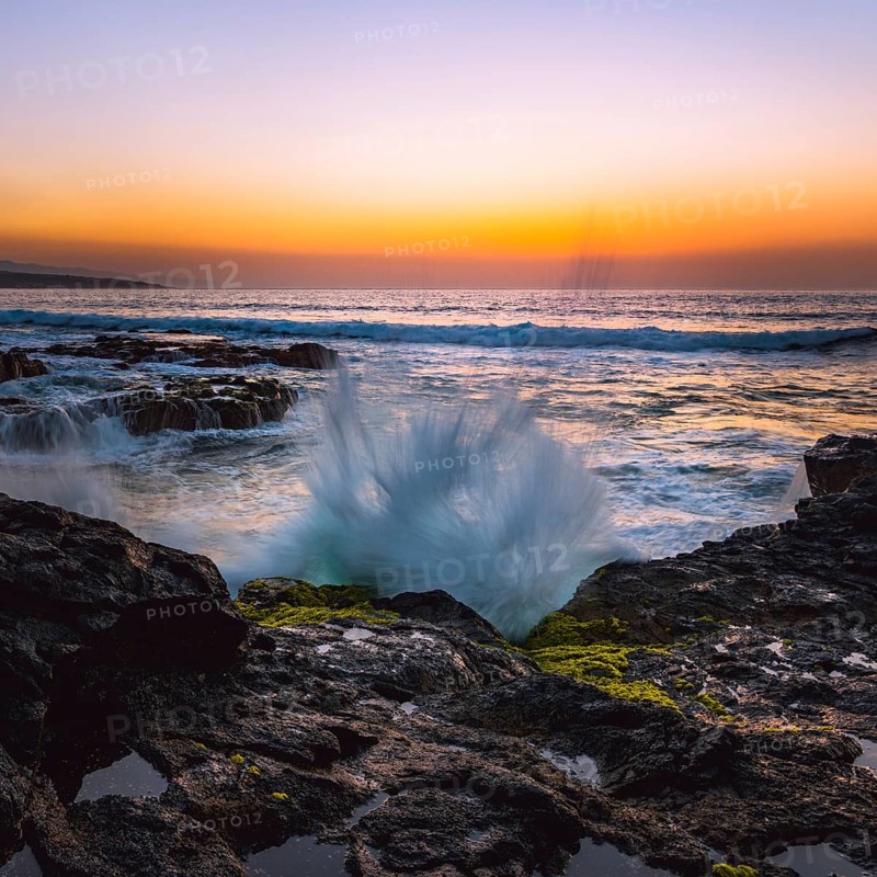 Waves