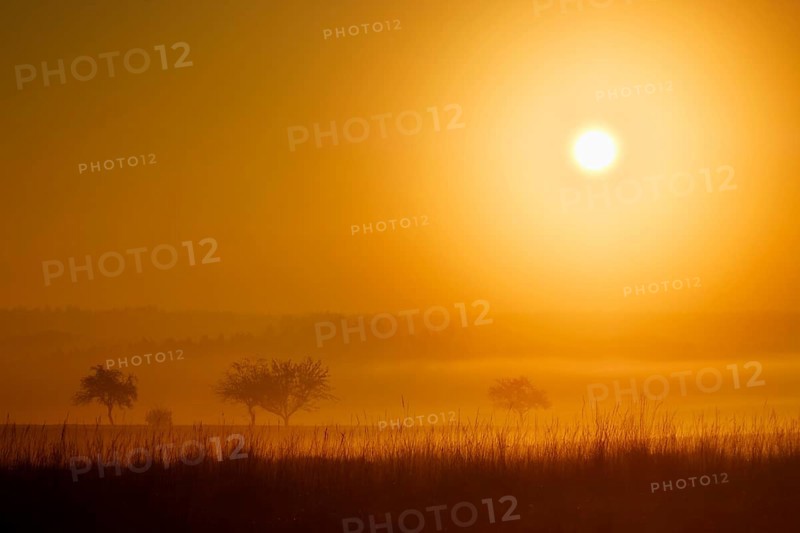 Sunrise in Jachenhausen near Riedenburg