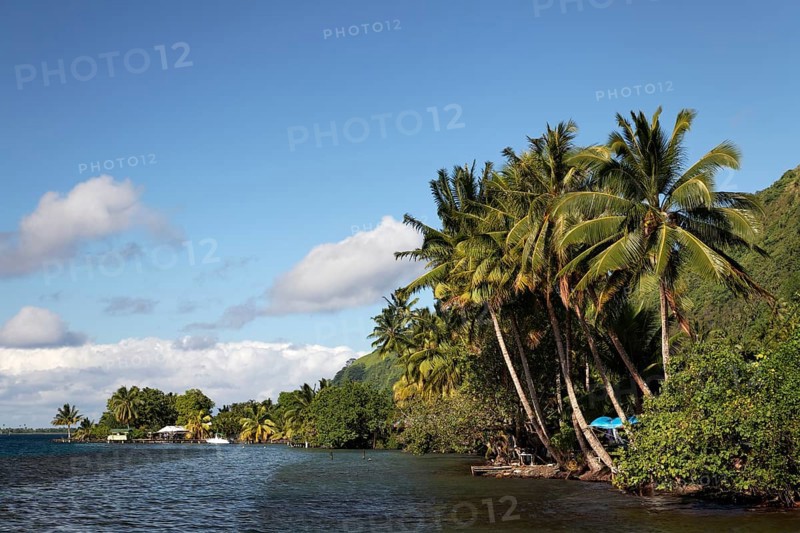 Coast with dense vegetation near Taurita