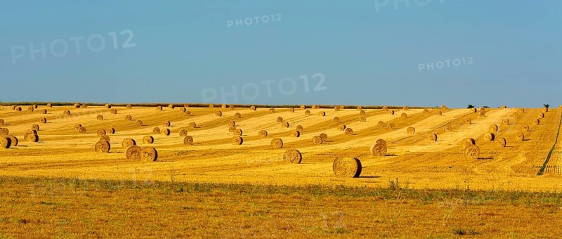 Bales of straw in region Limagne