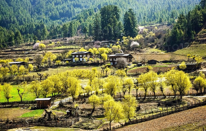 Landscape