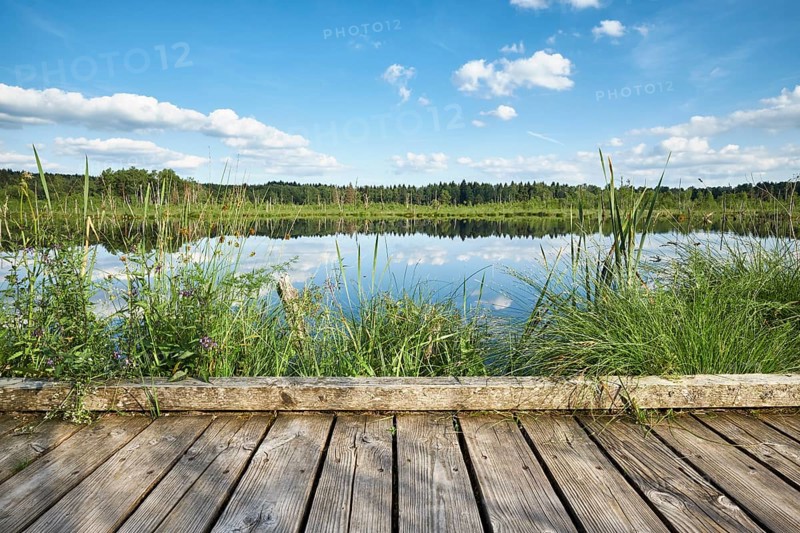 Wooden footbridge in the Regenmoor marshland and Neckar origin Schwenninger Moos
