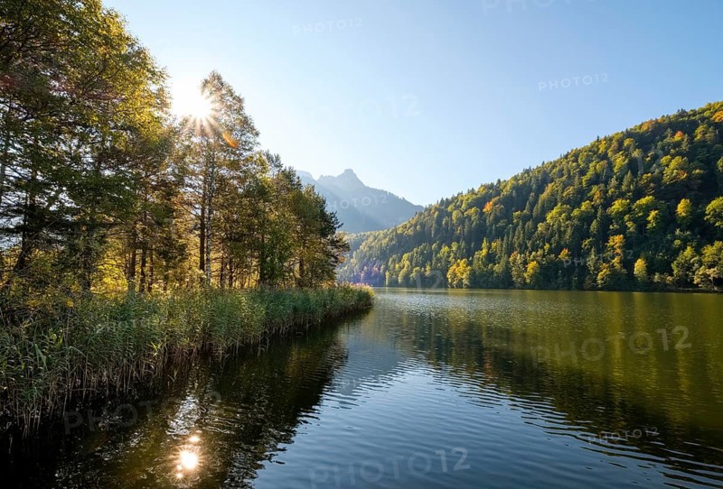 Schwansee near Schwangau