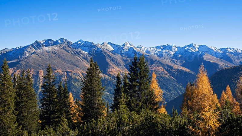 Autumnal mountain landscape with larches (Larix)