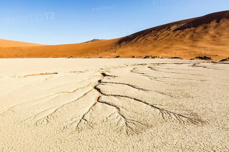 Water veins in the dry soil