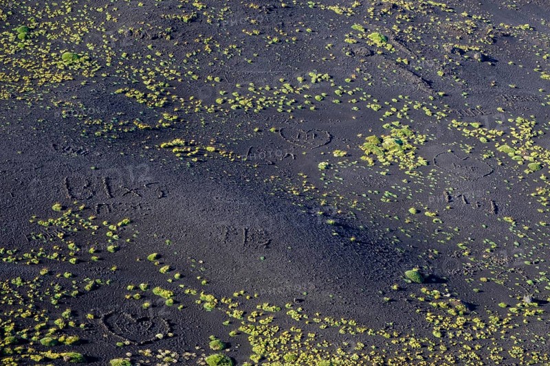 Black volcanic soil with green vegetation
