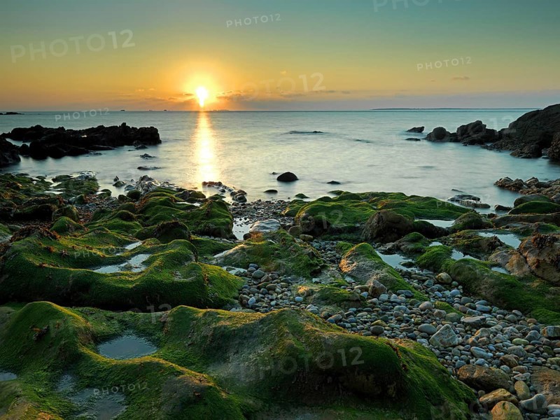 Overgrown rocks on the beach