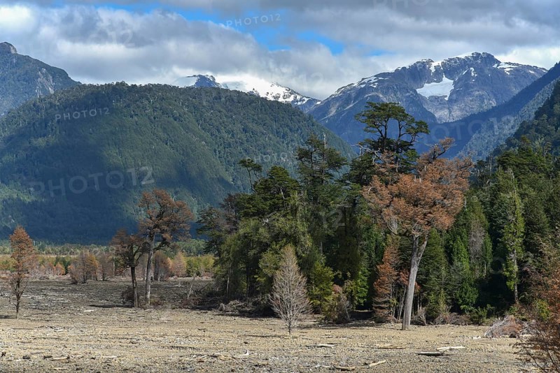 Destroyed forest by a landslide in Villa Santa Lucia