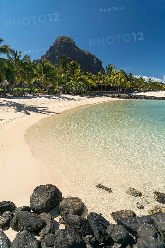 Beach with palm trees