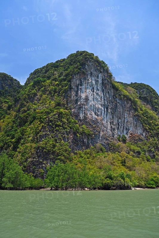 Overgrown limestone rocks in Phang Nga Bay