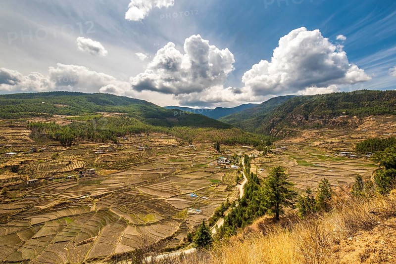 Terraced cultivation