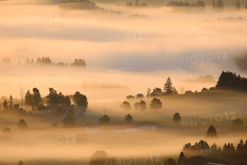 Morning fog