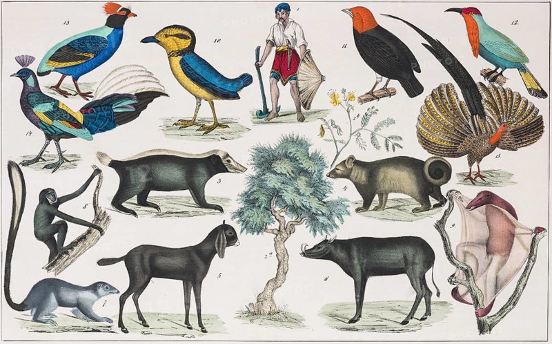 Zone Paintings South Asia