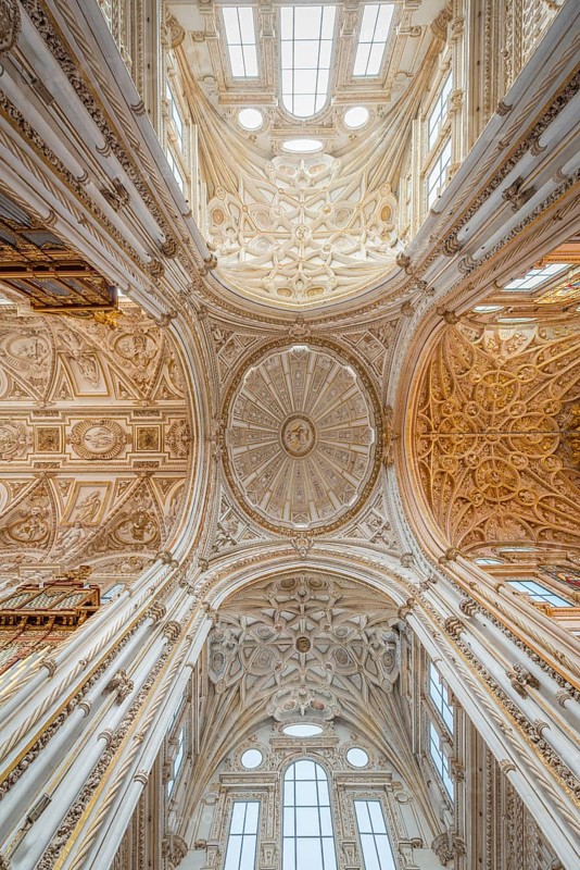 Vaulted ceiling decorated with stucco and gold