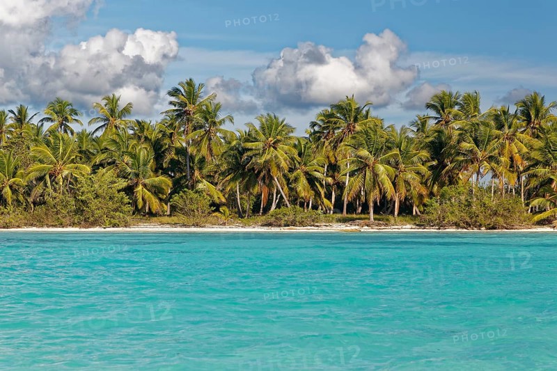 Dream beach