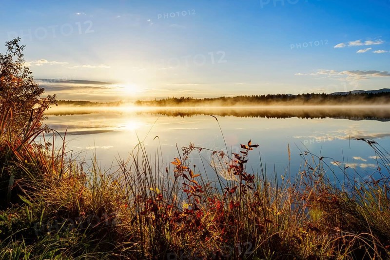 Autumn Mood