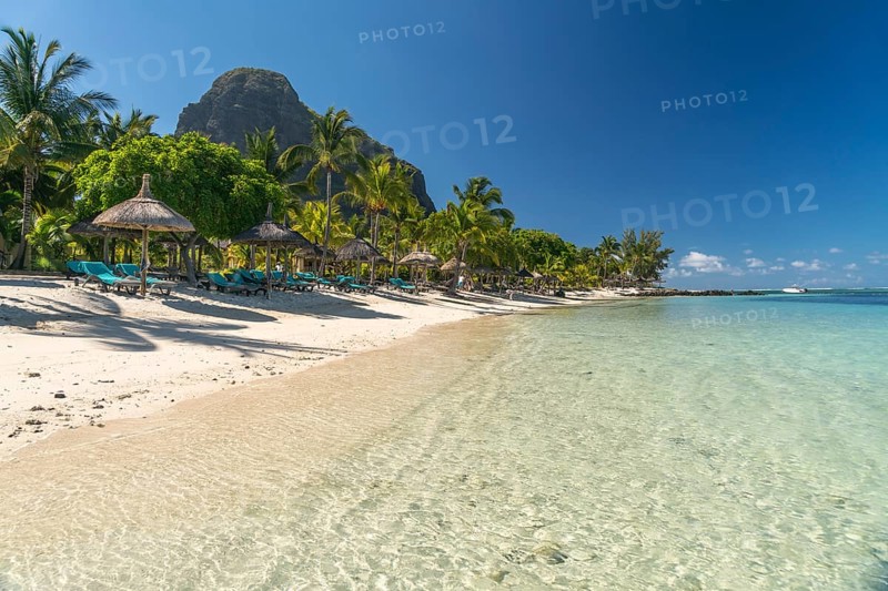 Beach with palm trees