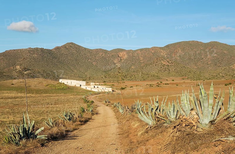 Arid landscape with century plants (Agave americana) and the abandoned farmhouse Cortijo de los Genoveses