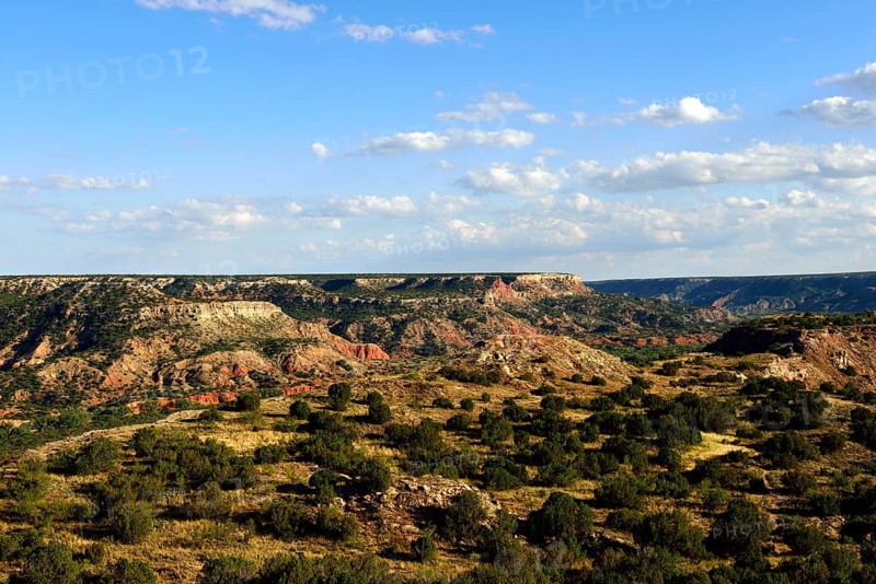 Wide open landscape