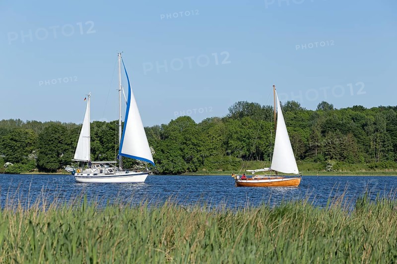 Sailing boats on the Schlei