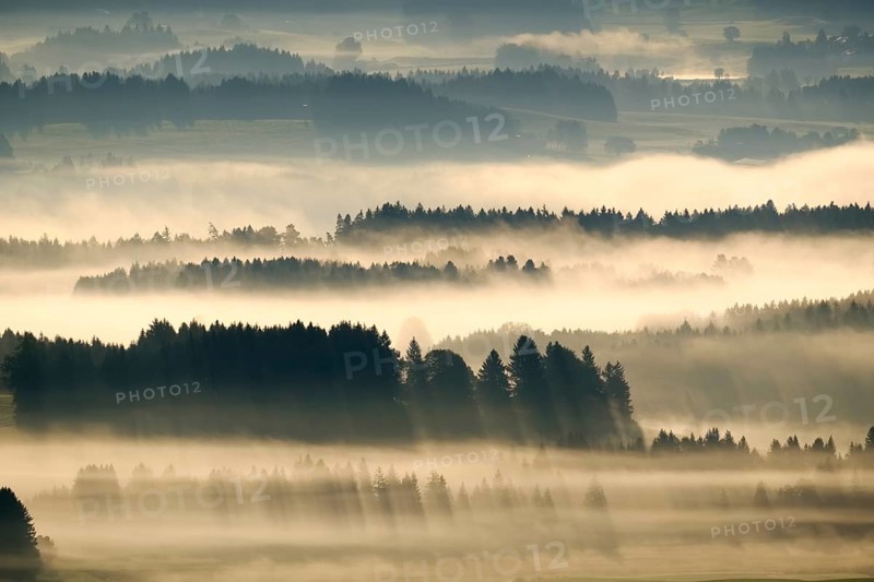 Morning fog
