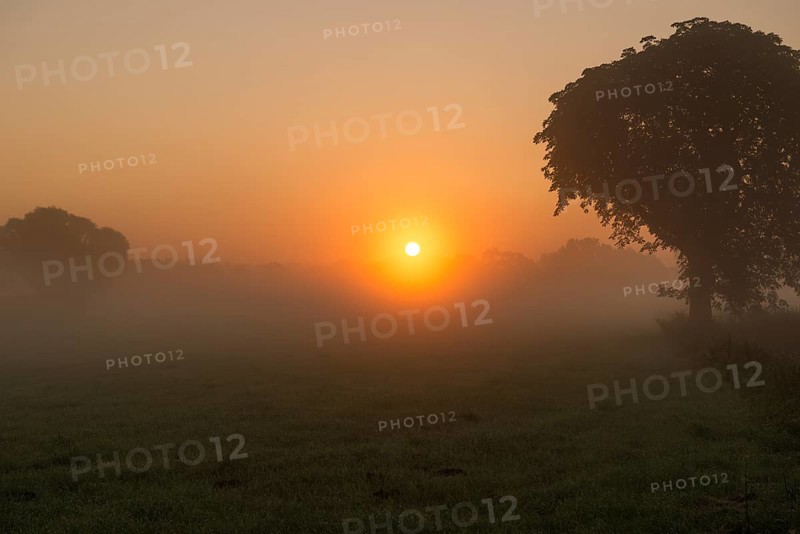Morning fog over meadow landscape at sunrise