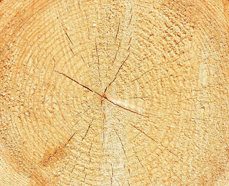 Log