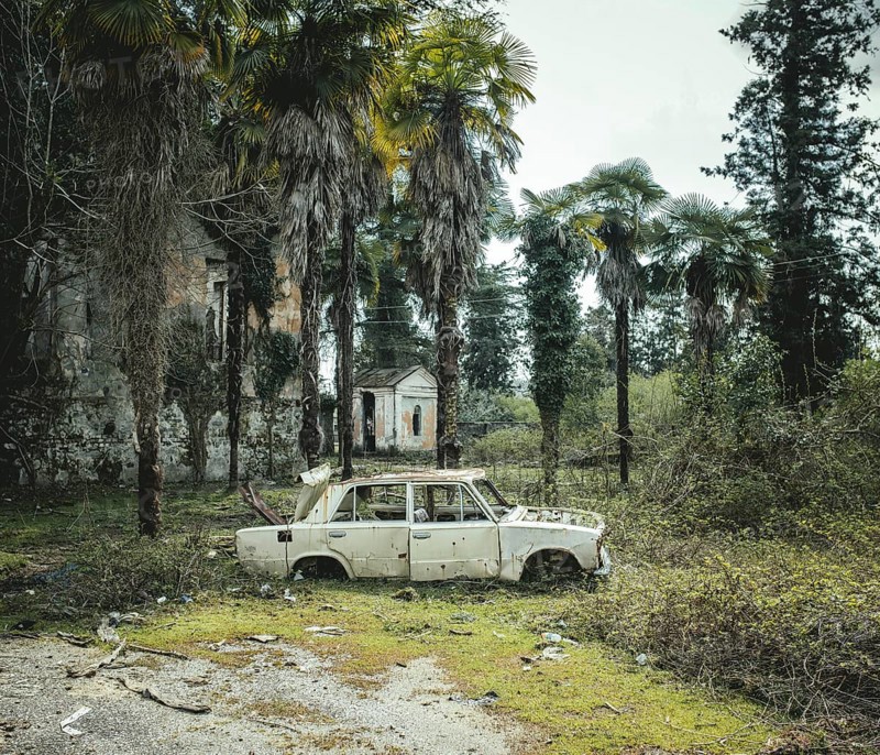 Wrecked car in the forest