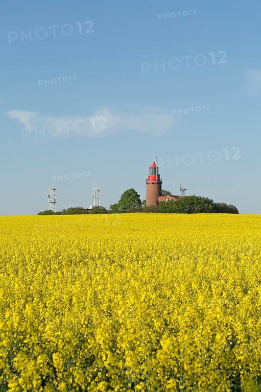 Lighthouse Buk with flowering rape field