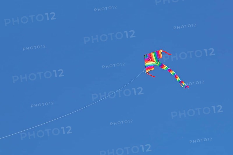 Kite in front of blue sky