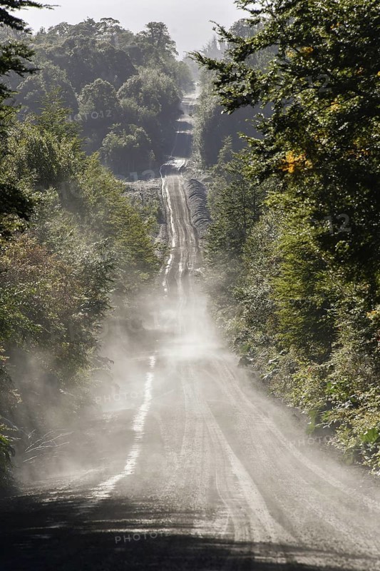 Corrugated iron pavement of Carretera Austral in temperate rainforest
