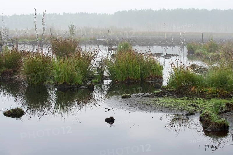Theikenmeer nature reserve