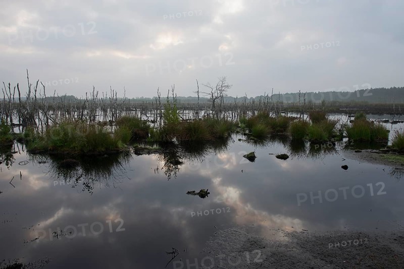 Theikenmeer nature reserve