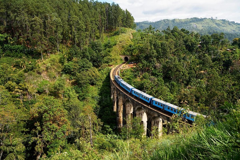 Train on the Nine Arches Bridge in the highlands near Ella