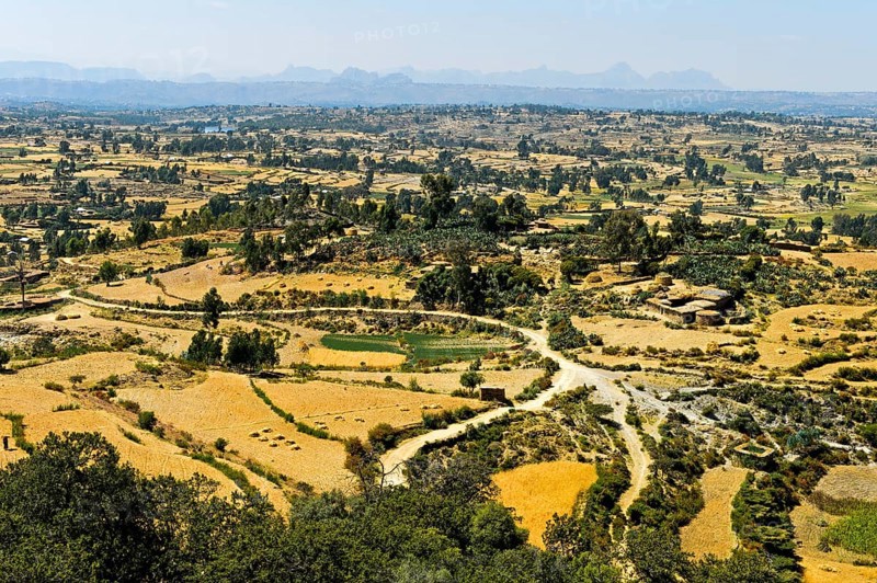 View of fields