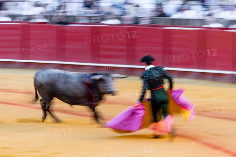 Racing bull with matador