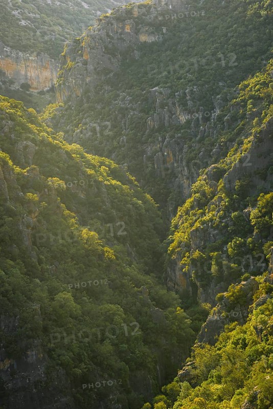 Wooded slopes