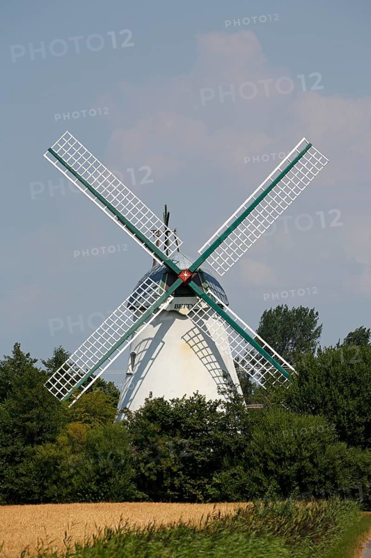 Windmill Betty