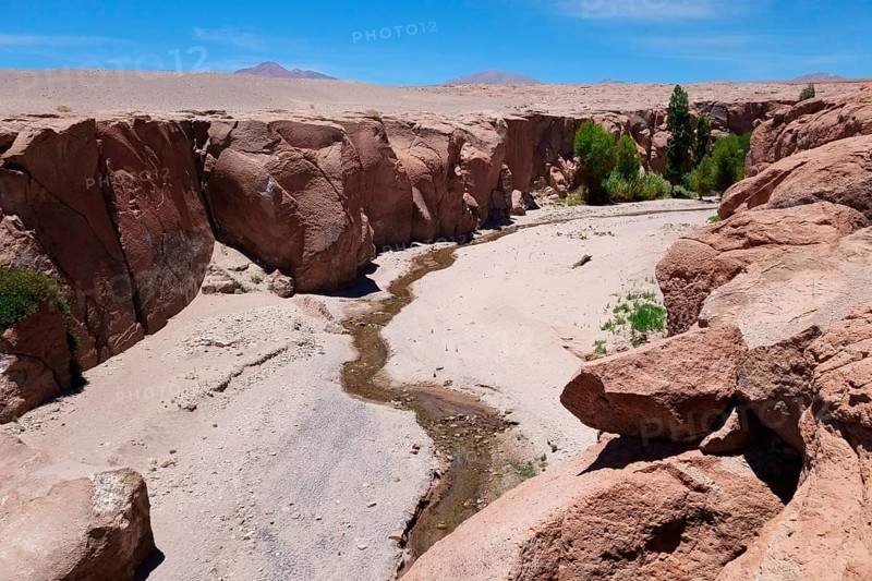River bed with little green vegetation