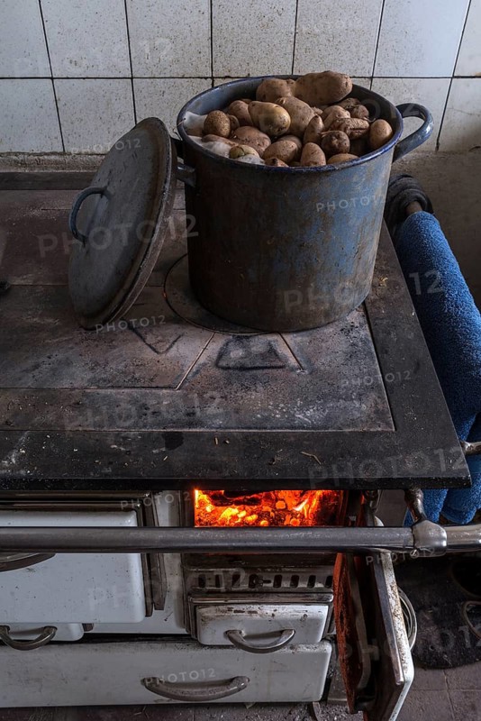 Potatoes in a pot for cattle feed on an old kitchen stove