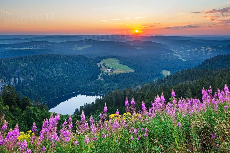 View from Feldberg mountain to lake Feldsee