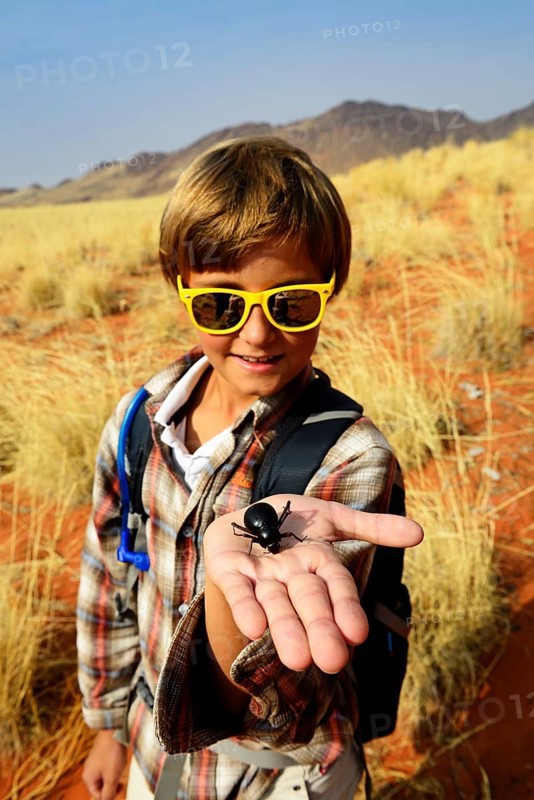 Boy holds a black beetle in the hand