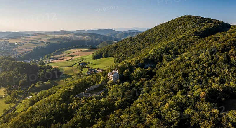 Homburg castle ruins