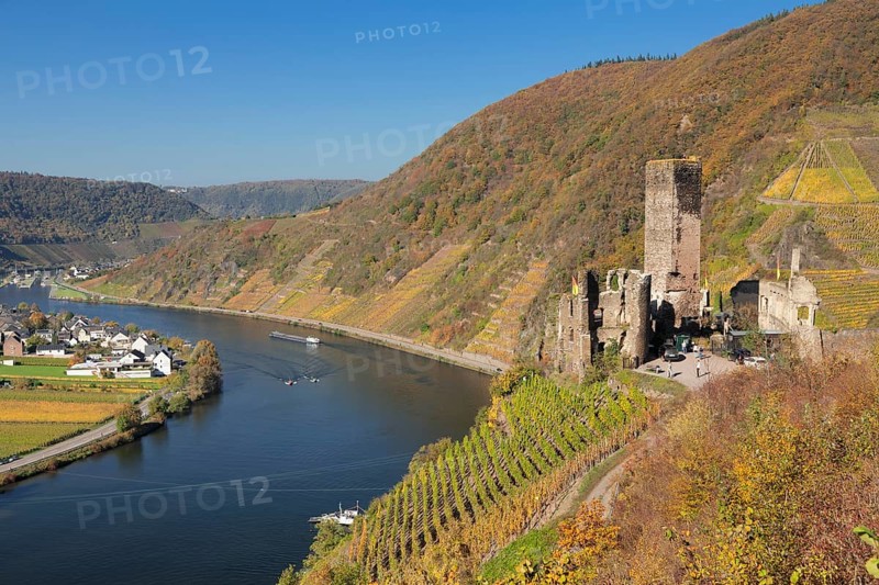 Ruins of Metternich Castle with vineyard