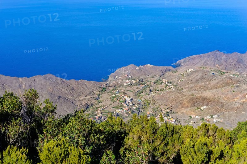 Alojera