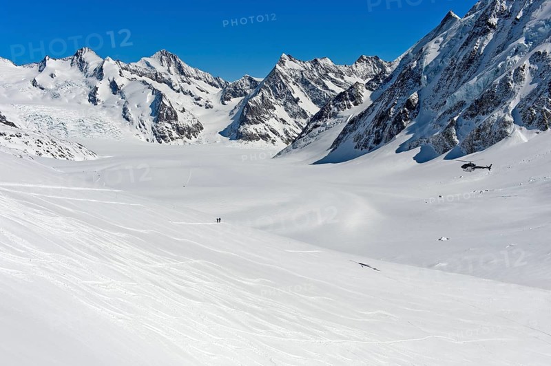 View from the Lotschenlucke over the snow-covered Grosser Aletschfirn towards Konkordiaplatz and the Bernese Alps