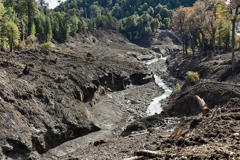 Destroyed forest by a landslide in Villa Santa Lucia
