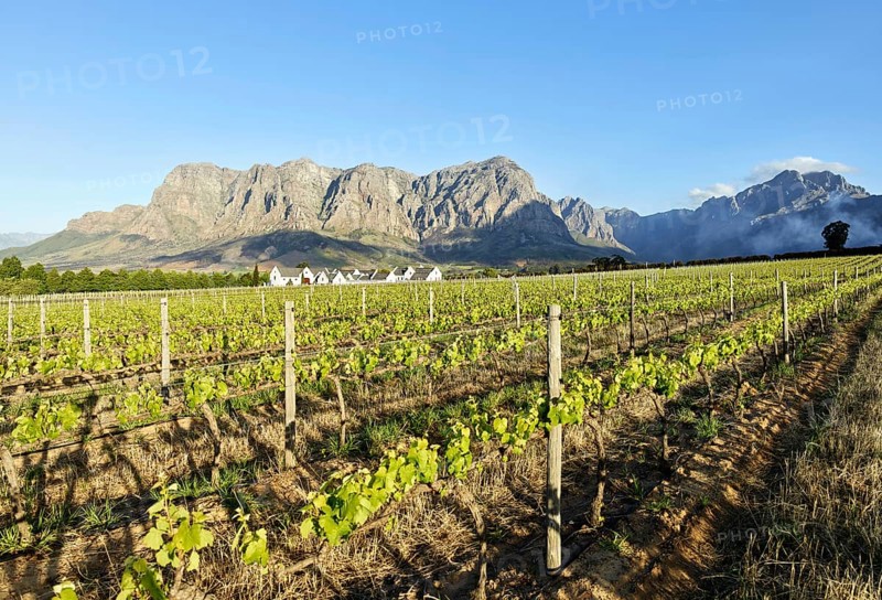 Wineries