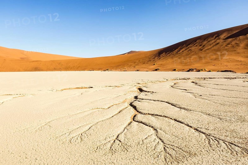 Water veins in the dry soil